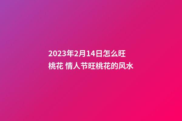 2023年2月14日怎么旺桃花 情人节旺桃花的风水